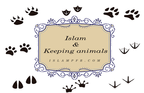 Islam & Keeping animals Islam & Keeping animals