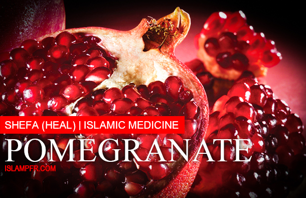 Pomegranate – Good for brain Pomegranate