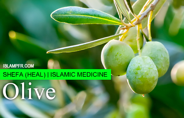 Olive- good for bones & skin Olive