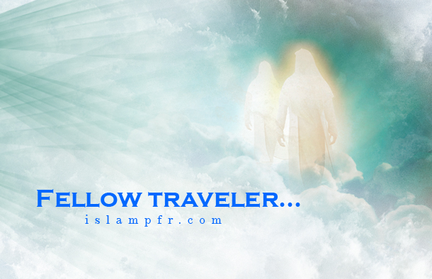 Fellow traveler...