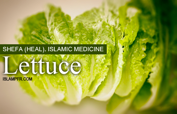 Lettuce