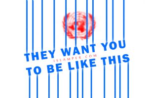 They