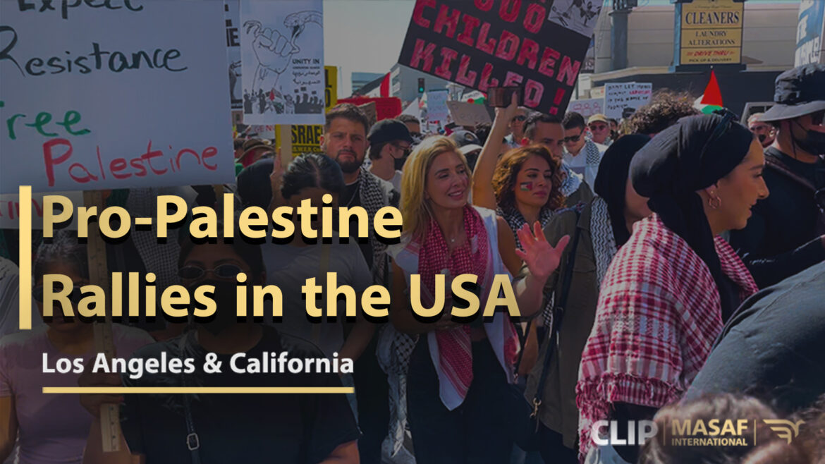 Pro-Palestine rallies, The USA